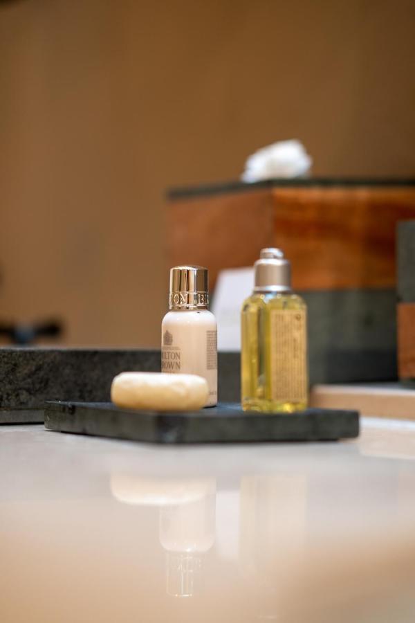 The Essentia Hotel San Miguel サン・ミゲル・デ・アジェンデ エクステリア 写真