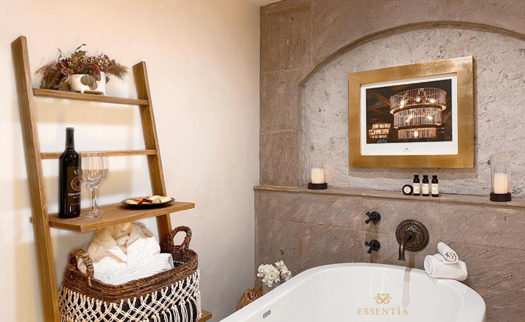 The Essentia Hotel San Miguel サン・ミゲル・デ・アジェンデ エクステリア 写真