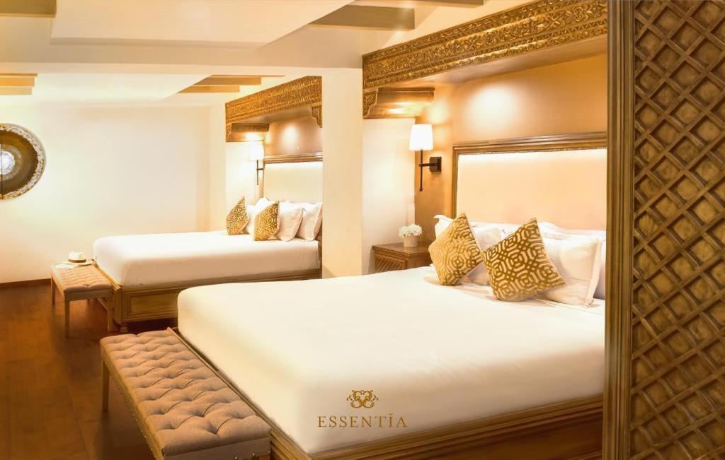 The Essentia Hotel San Miguel サン・ミゲル・デ・アジェンデ エクステリア 写真