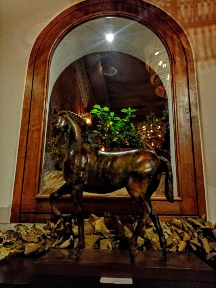 The Essentia Hotel San Miguel サン・ミゲル・デ・アジェンデ エクステリア 写真